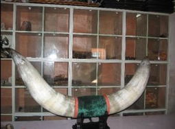 日用百貨 家居用品 企業黃頁 公司列表